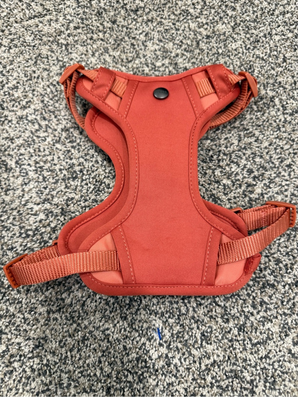 Frisco Small Dog Activewear Harness in Orange Red Comfortable Adjustable Fit